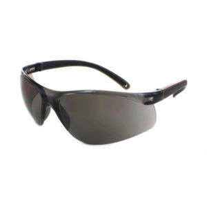 Evolution Safety Spectacle Guard